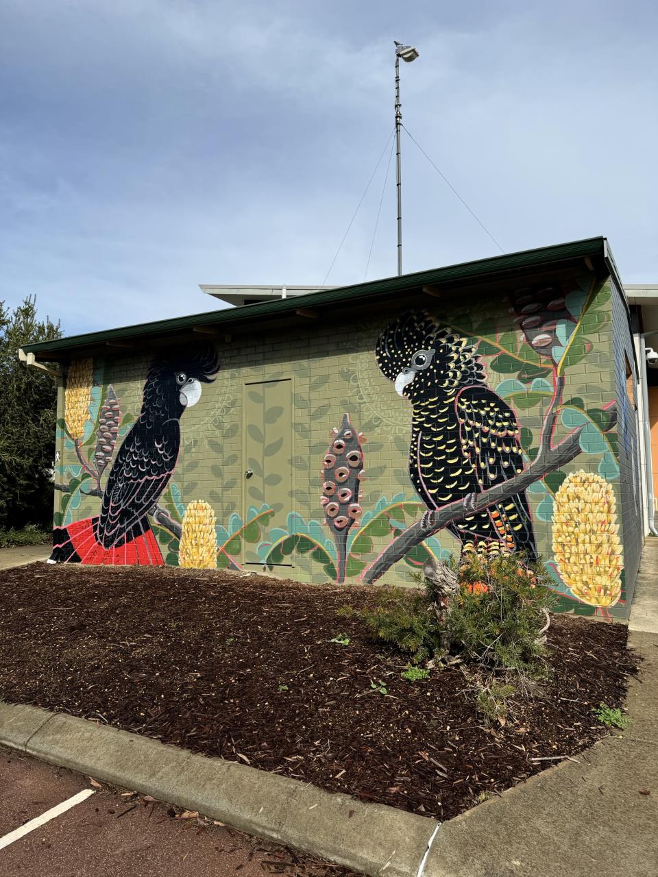 Local Flora and Fauna Celebrated in New Bannister Road Mural